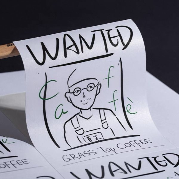 Pearlescent film adhesive stickers